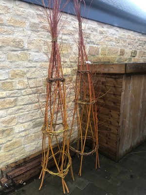 Willow Structures for your Garden with Norah Kennedy - 26th February 2024